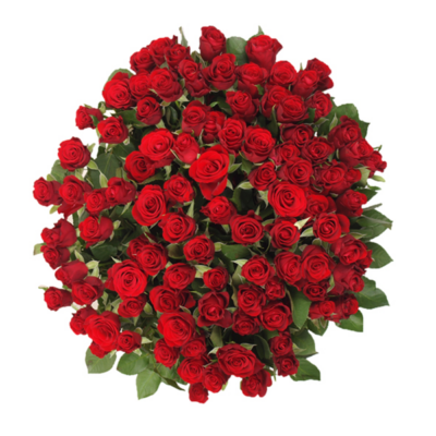 Bis zu 100 Rosen