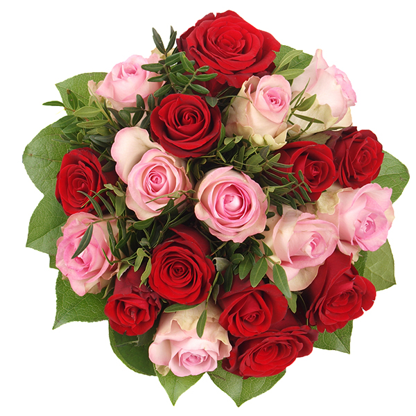Rozentraum 20 roses