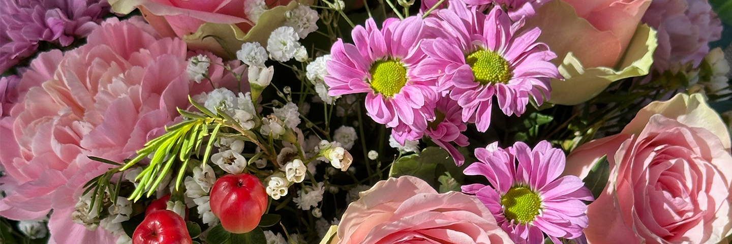 Image Slider